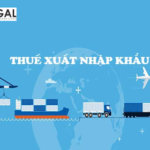 PHÁP LUẬT THUẾ NHẬP KHẨU TẠI VIỆT NAM