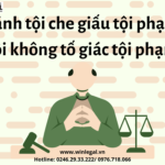 So sánh tội che giấu tội phạm và tội không tố giác tội phạm