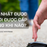 NGƯỜI NHẶT ĐƯỢC CỦA RƠI ĐƯỢC CẤP THƯỞNG KHI NÀO?