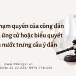 Xâm phạm quyền của công dân về bầu cử, ứng cử hoặc biểu quyết