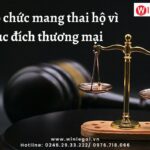 Tội tổ chức mang thai hộ vì mục đích thương mại