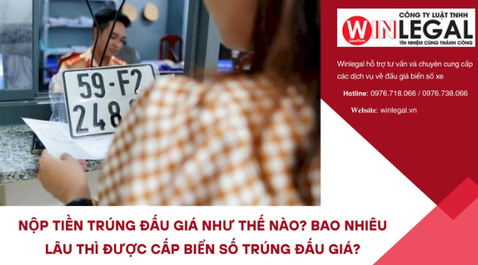 Bao lâu thì được cấp biển số trúng đấu giá?