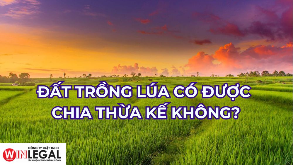 Đất trồng lúa có được thừa kế không?