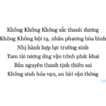 Giải mã ý nghĩa thần số học biển số  00023: May mắn hay thử thách?