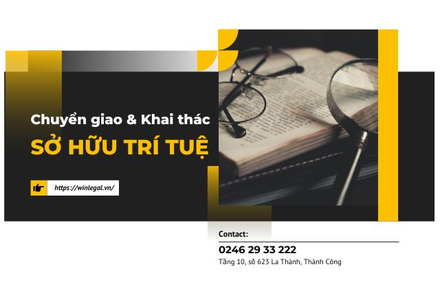 Hợp đồng chuyển giao & khai thác quyền sở hữu trí tuệ