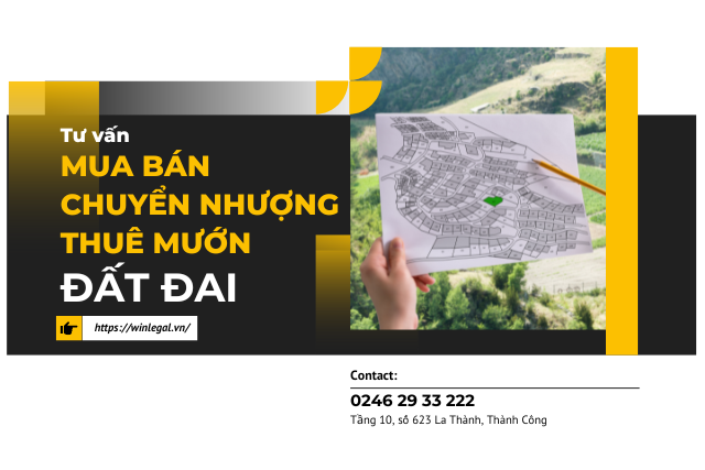 Tư vấn giao dịch mua bán, chuyển nhượng, thuê mướn đất