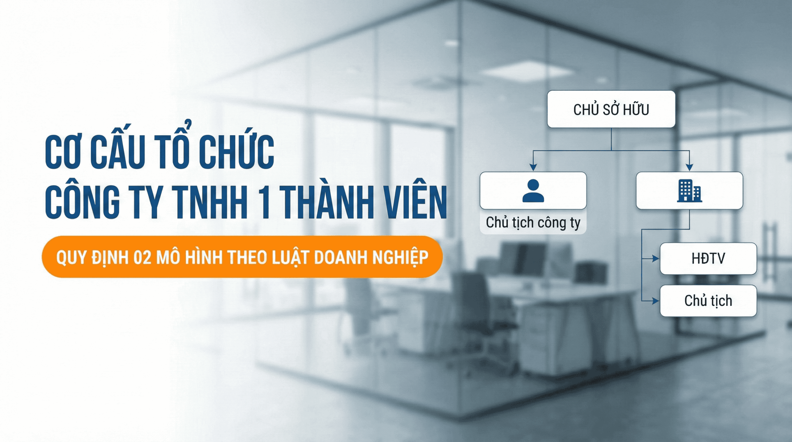 Cơ cấu tổ chức công ty TNHH một thành viên gồm những bộ phận nào?